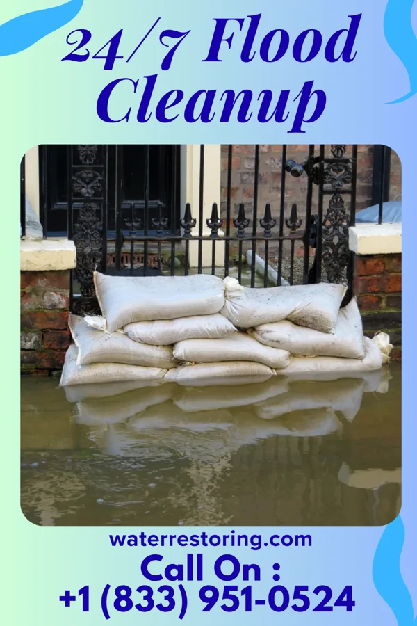 24/7 Flood Cleanup in Toad Hop, IN