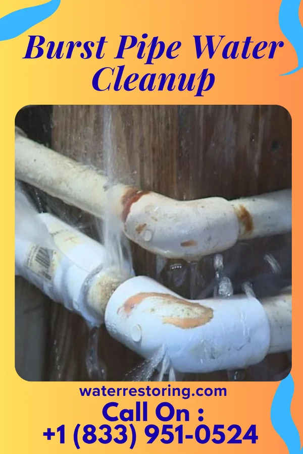 Burst Pipe Water Cleanup in Toad Hop, IN
