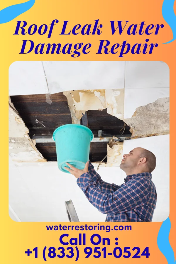 Roof Leak Water Damage Repair in Toad Hop, IN