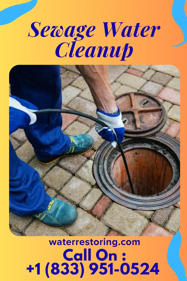 Sewage Water Cleanup in Toad Hop, IN