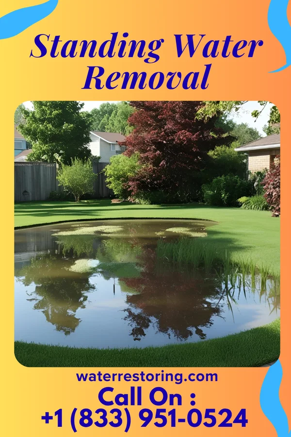 Standing Water Removal in Toad Hop, IN